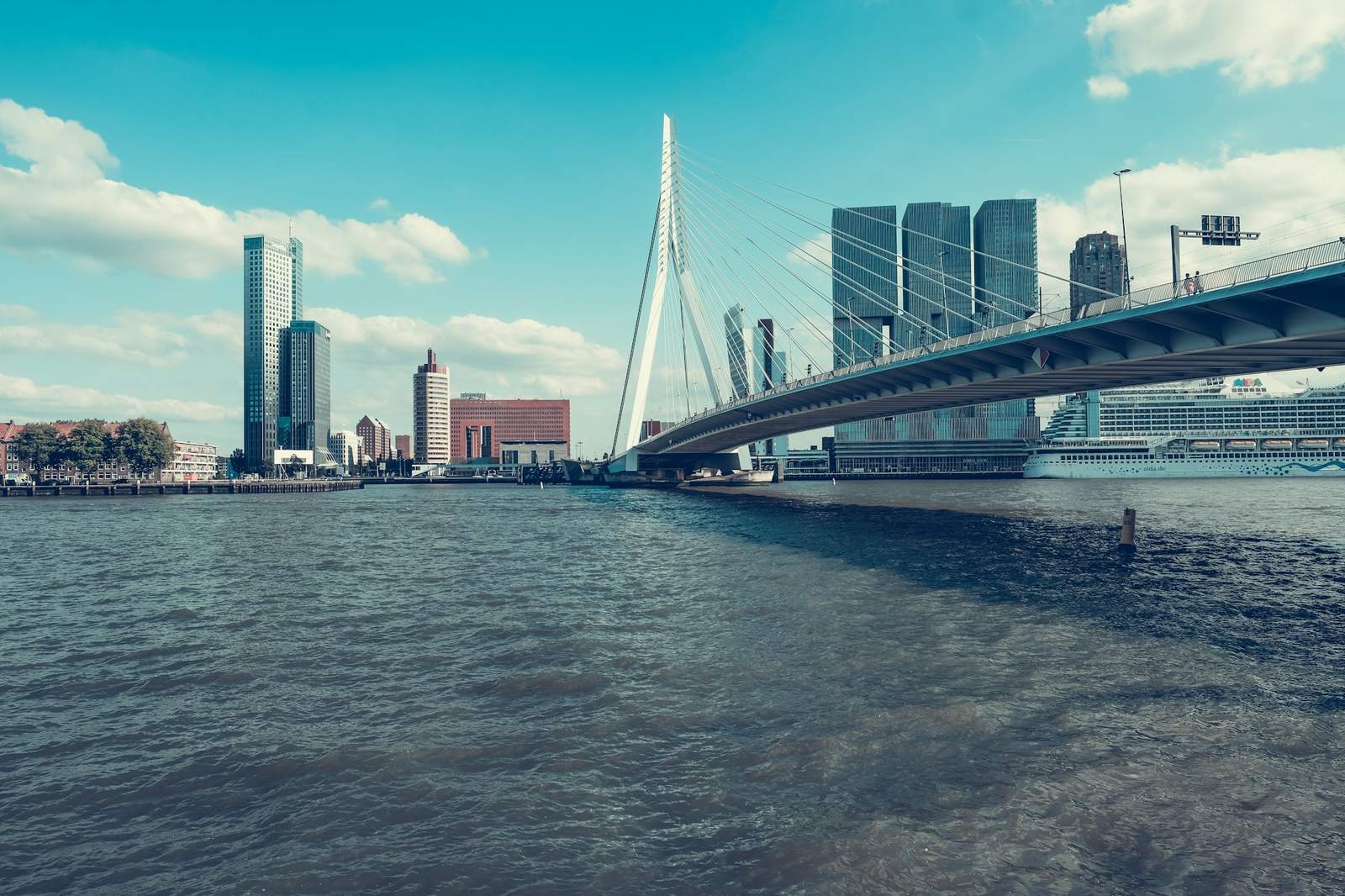 Rotterdam skyline met Erasmusbrug — projecten van Mees Ruimte en Milieu
